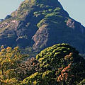 Ausfluege-Adams_Peak.jpg