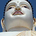 Ausfluege-Buddhastatue_Aluthgama-02.jpg