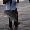 Ausfluege-Fischfang-Strand-Beruwela-01.jpg