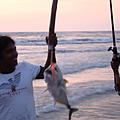 Ausfluege-Fischfang-Strand-Beruwela-02.jpg