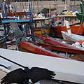 Ausfluege-Fischmarkt-Hafen-Beruwela-09.jpg