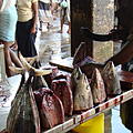 Ausfluege-Fischmarkt-Hafen-Beruwela-26.jpg