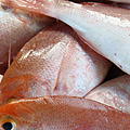 Ausfluege-Fischmarkt-Hafen-Beruwela-30.jpg