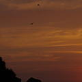 Ausfluege-Sonnenuntergang-Strand-Beruwela-05.jpg