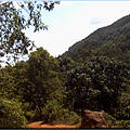 Ausfluege_Regenwald-01.jpg