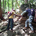 Ausfluege_Regenwald-04.jpg