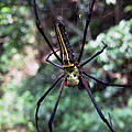 Ausfluege_Regenwald-11.jpg