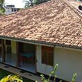 Bougainvilla-05.jpg