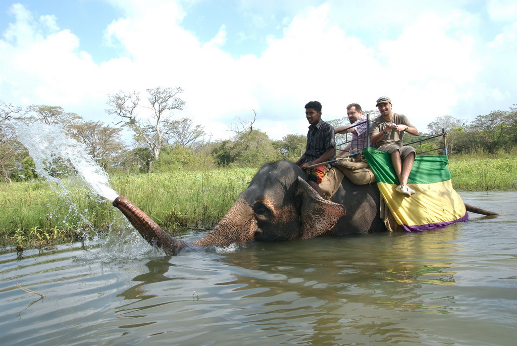 srilankadream.com - Erholungs- und Kulturreise - Elefantenreiten