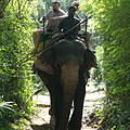 Rundreise-Elefantenreiten-05.jpg